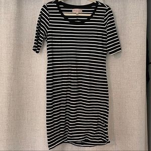 Stretchy Shirt Dress